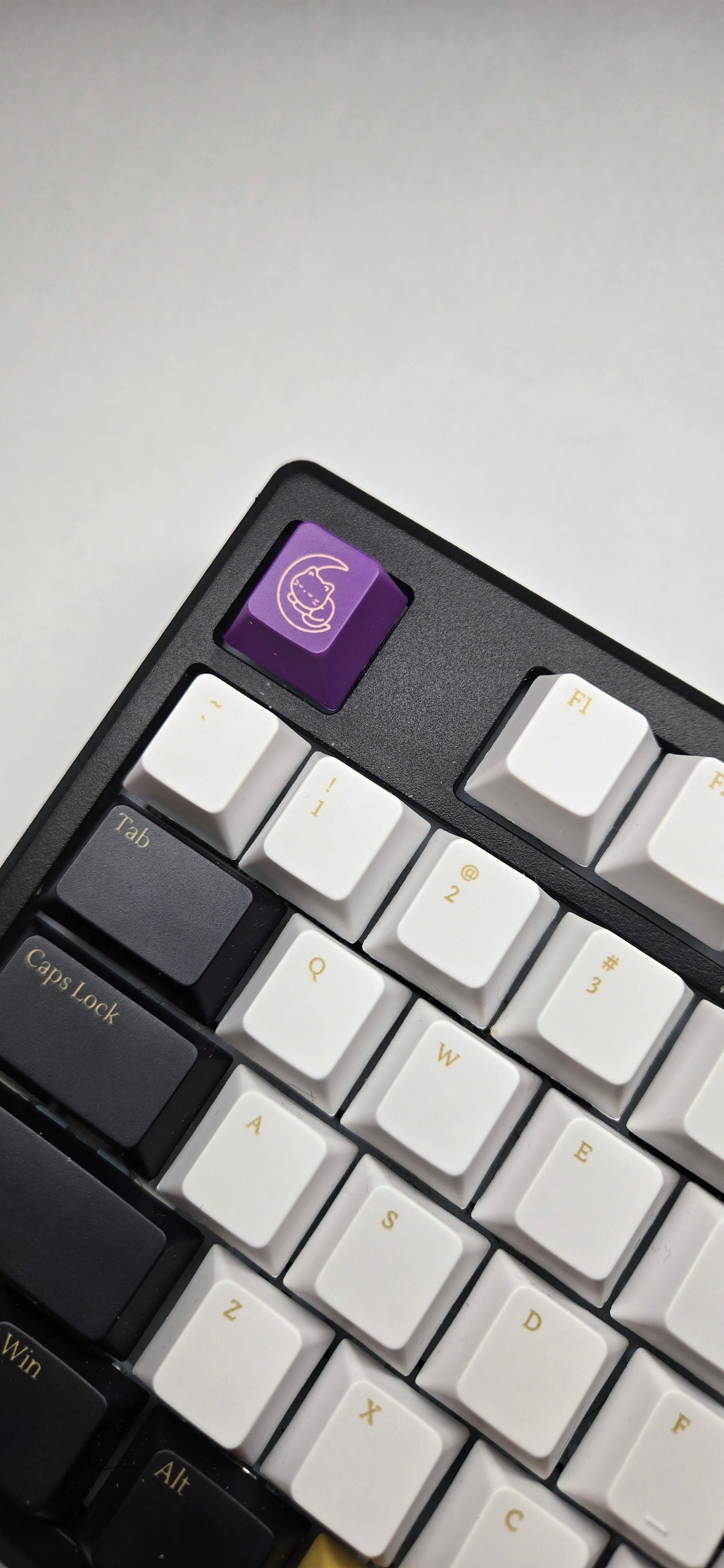 Tuxedo Gold Keycap Set